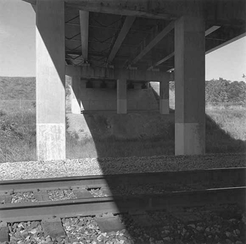 Bridge Shadow