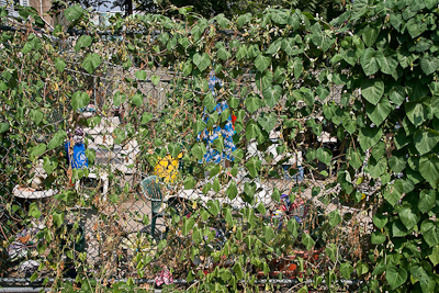 Backyard, Fishtown, 2008