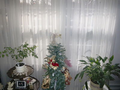 Mom's Christmas Tree, Pottstown